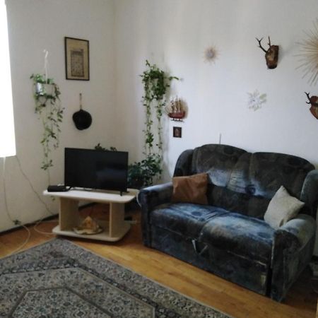Sun Cluj Daire Dış mekan fotoğraf