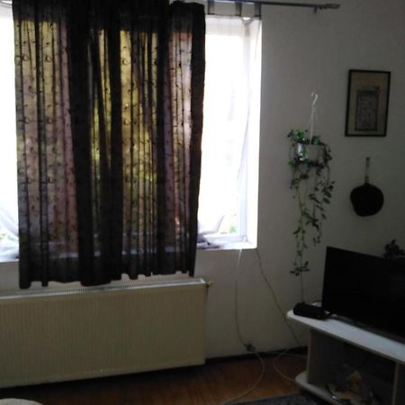 Sun Cluj Daire Dış mekan fotoğraf